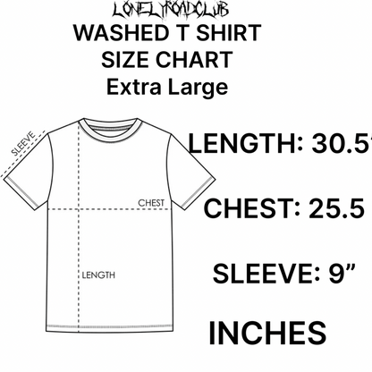 USA WASHED T-SHIRT