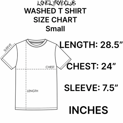 USA WASHED T-SHIRT